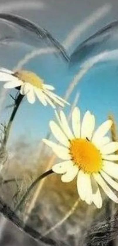 Heart-shaped frame with daisies and sky backdrop.