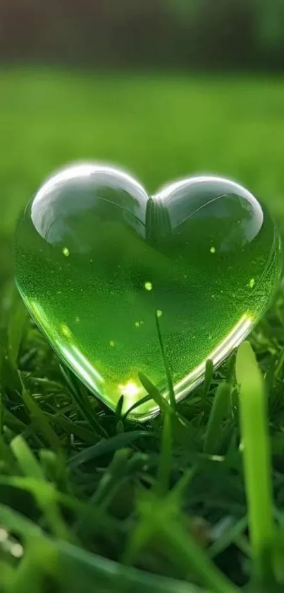 Heart-shaped green glass on vibrant grass mobile wallpaper.