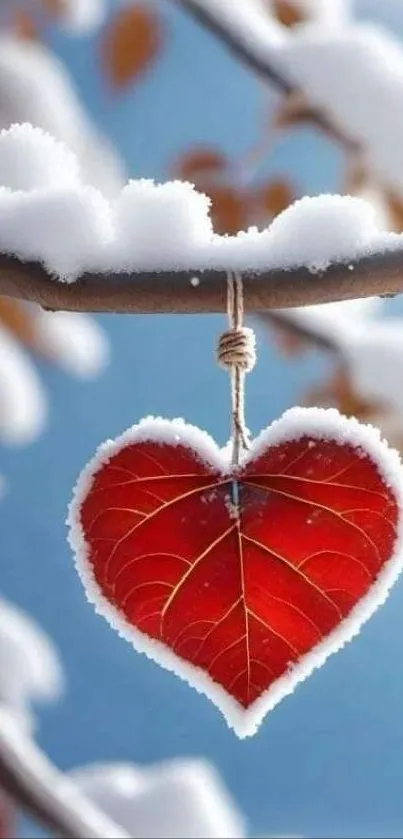 Heart-shaped red leaf on snowy branch against blue sky.