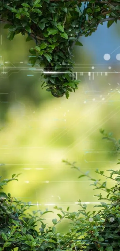 Heart-shaped green leaf frame with garden view background.