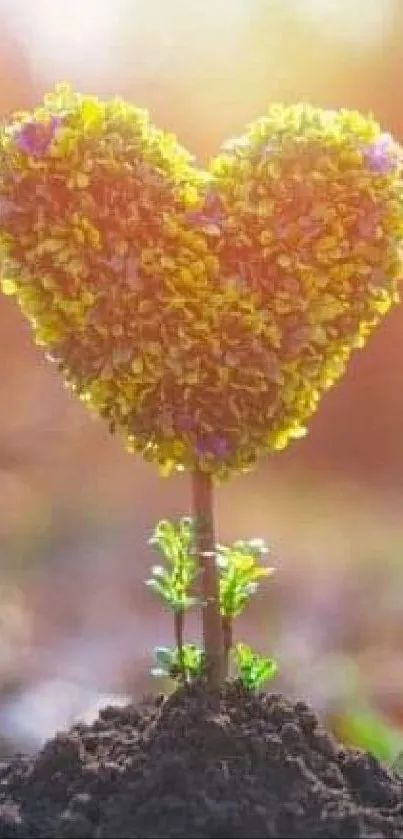 Yellow heart-shaped floral arrangement growing from the earth under sunlight.