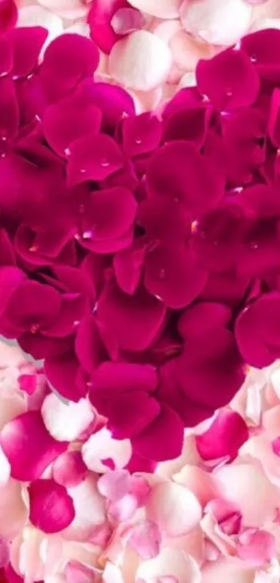 Heart-shaped red petals on a soft pink background.