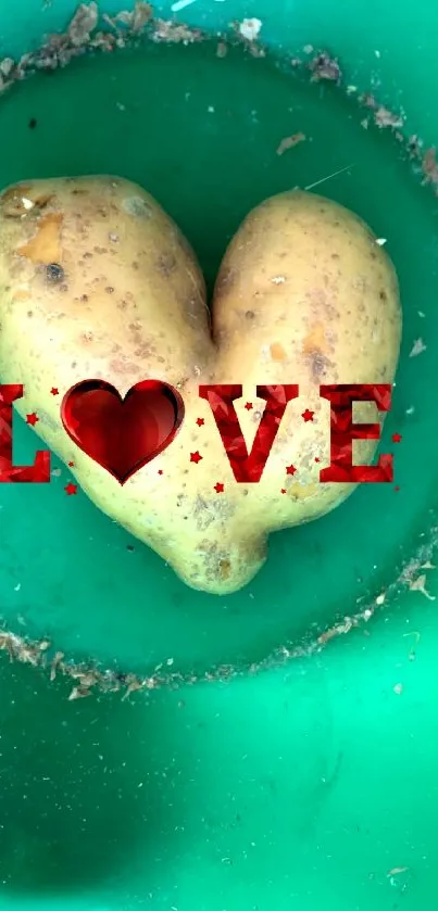 Heart-shaped potato with love text on turquoise background.