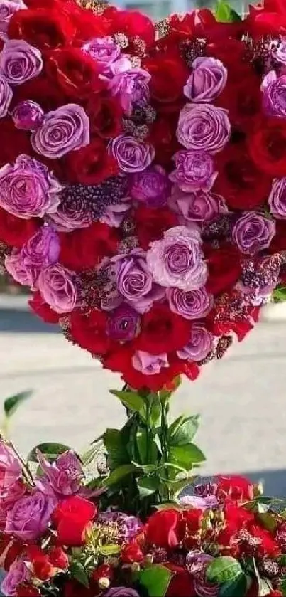 Heart-shaped arrangement of red and pink roses in sunlight.