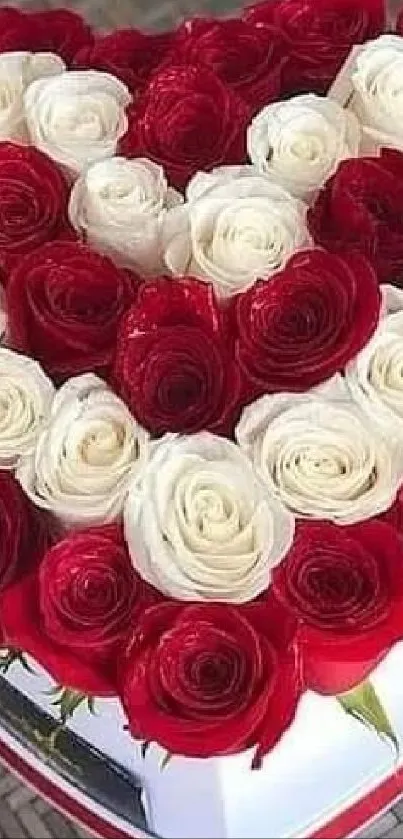 Heart-shaped bouquet of red and white roses on mobile wallpaper.