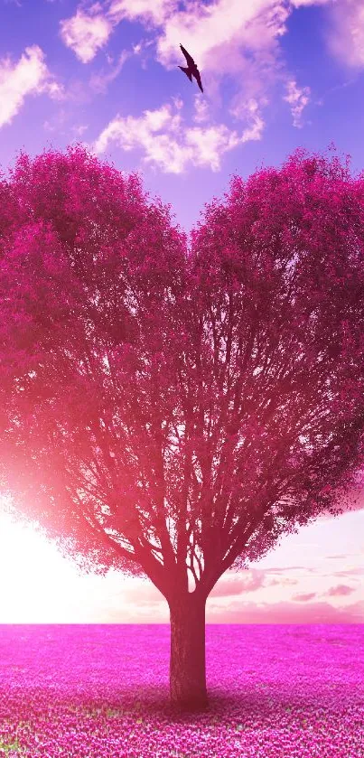 Heart-shaped pink tree at sunset field wallpaper.