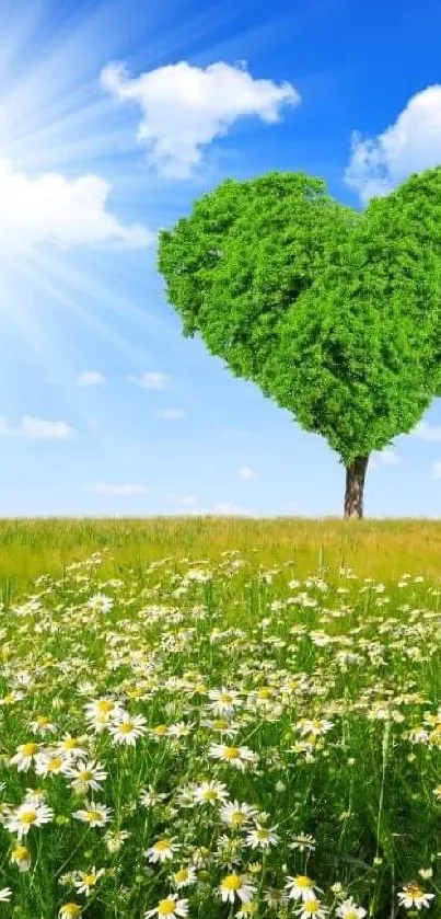 Heart-shaped tree in a sunny meadow with a bright blue sky background.