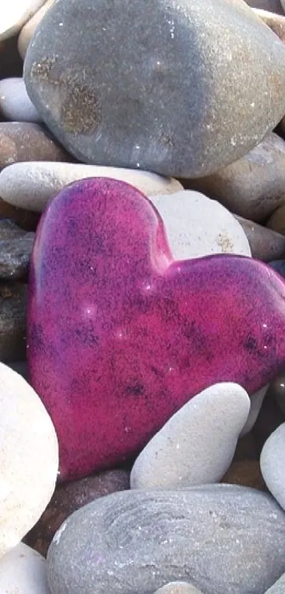 A heart-shaped pink stone amidst river pebbles.