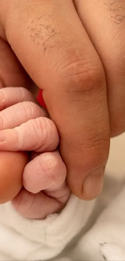Adult hand gently holding a newborn's hand, symbolizing love and care.