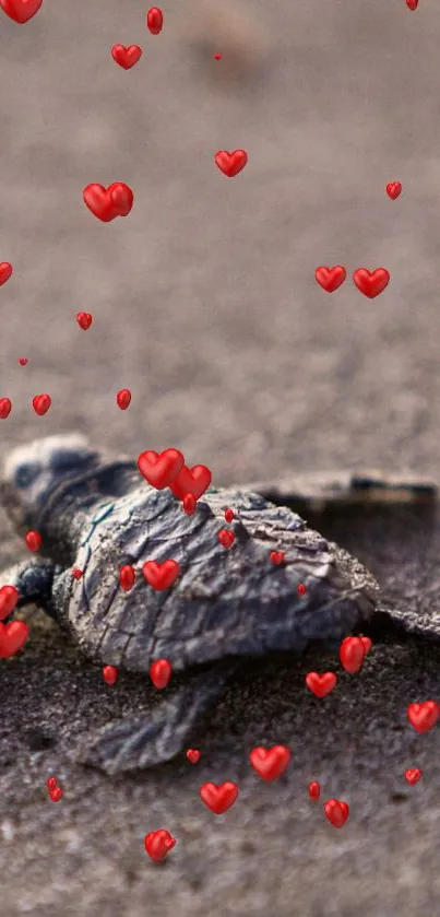 A baby turtle on a sandy beach with floating red hearts.