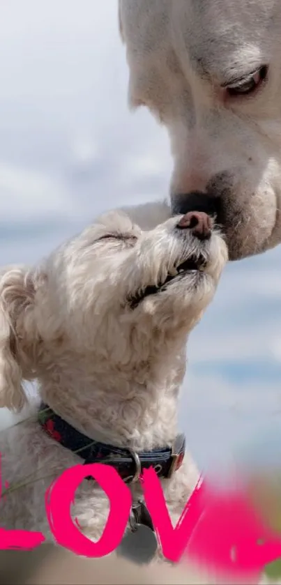 Two dogs sharing a heartwarming moment outdoors.