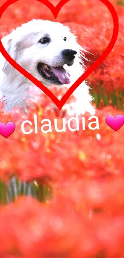 Adorable dog in a red flower field framed by a heart.