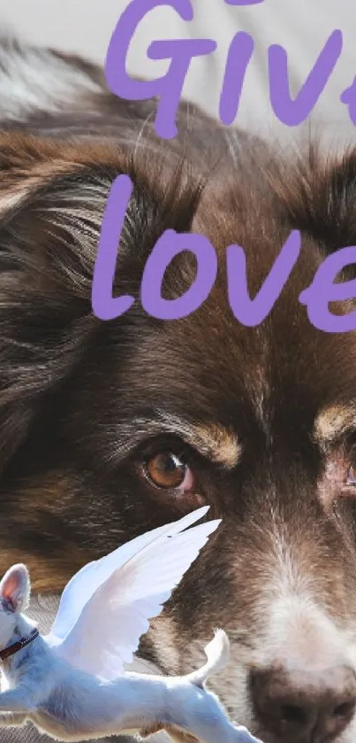 Heartwarming dog wallpaper with love message