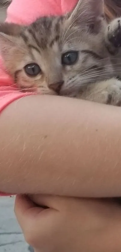 Child smiling holding a kitten outdoors.