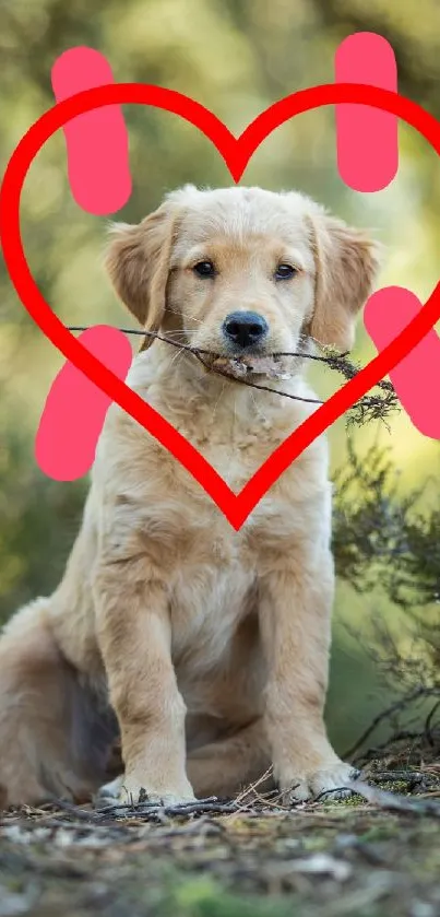 Golden retriever puppy with a stick and red heart in a forest.