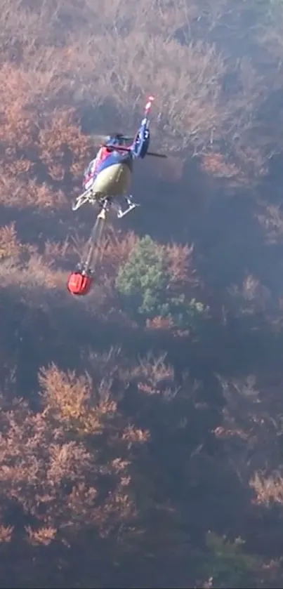 Helicopter flying over an autumn forest with vibrant foliage.