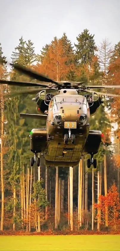 Helicopter flying above an autumn forest with colorful foliage.