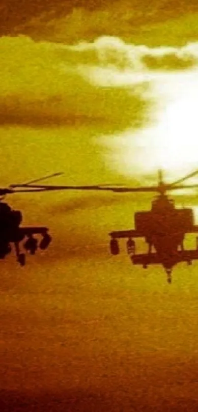 Two helicopters flying against a golden sunset sky.