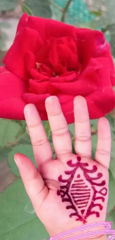 Red rose with henna art on a hand.