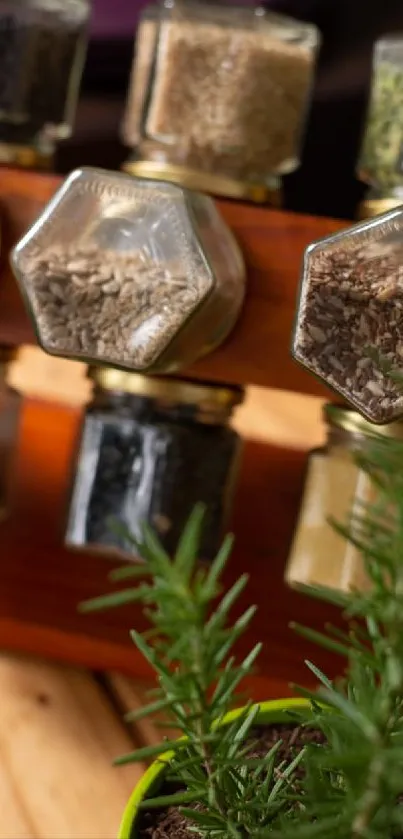 Spice jars on wooden rack with green herb pot.