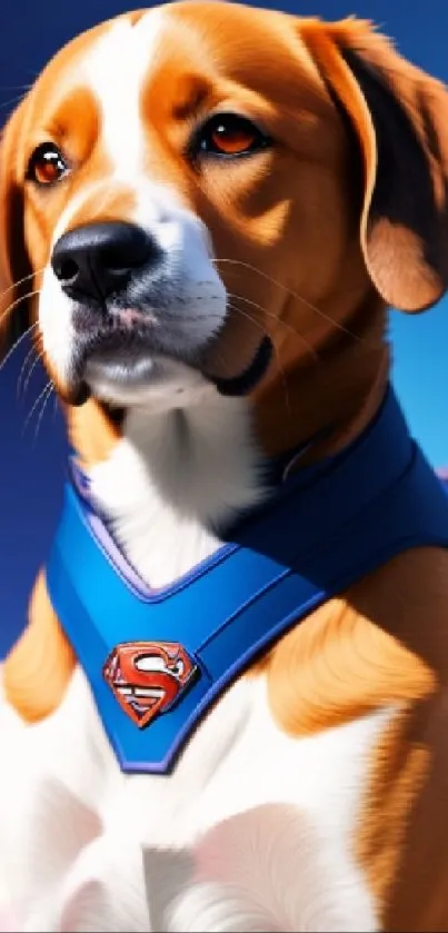 Wallpaper featuring a heroic dog in a bright blue sky wearing a super-themed harness.