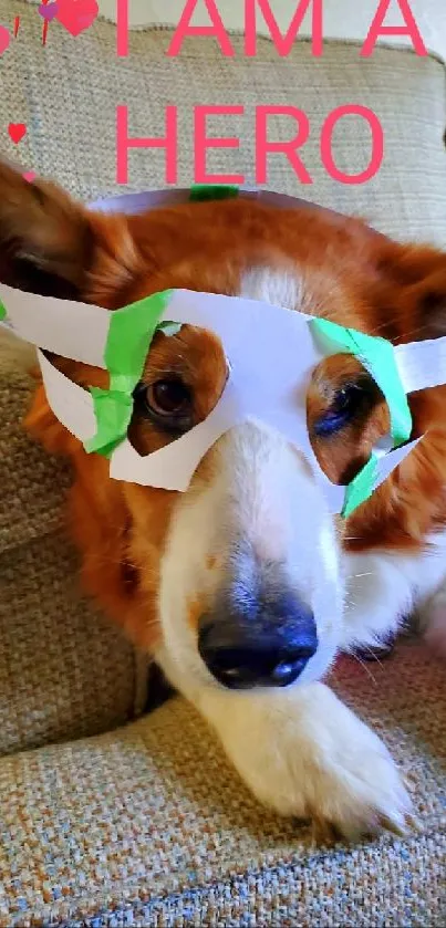 Dog with paper mask lounging on a sofa, captioned 'I AM A HERO'.