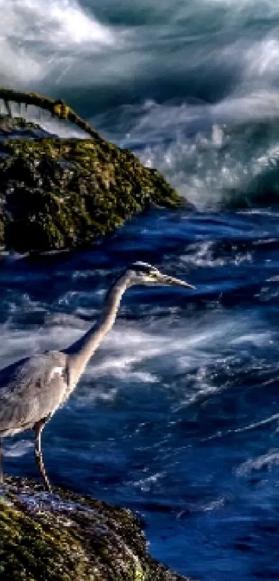 Heron standing by the ocean waves in serene landscape wallpaper.