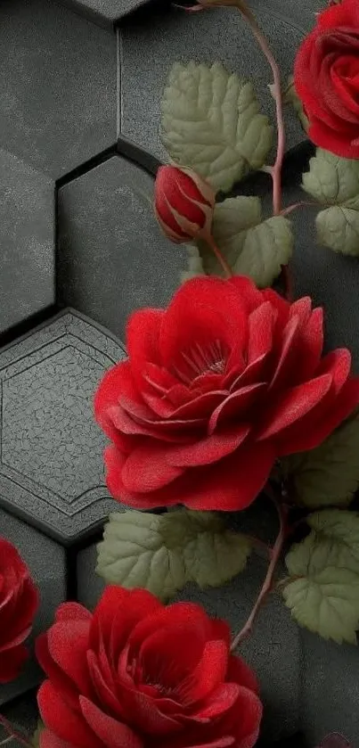 Dark hexagonal pattern with vibrant red roses and green leaves.