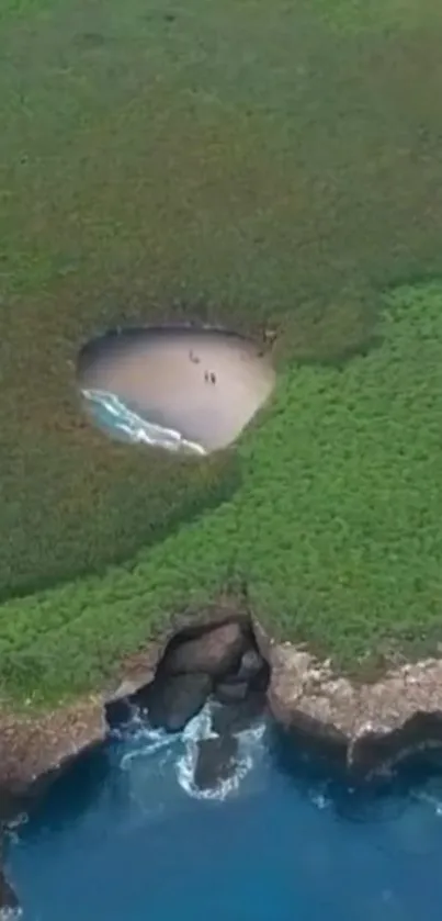 Aerial view of a hidden beach surrounded by lush greenery and clear blue waters.