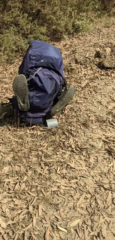 Blue backpack in natural setting on a forest trail, perfect for nature lovers.