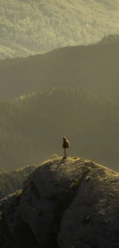 Hill Landscape Mountain Live Wallpaper