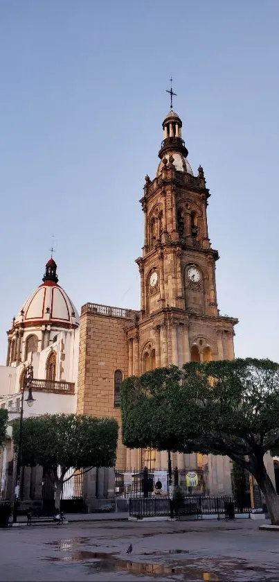 Historic cathedral under a pale evening sky with trees and street view.