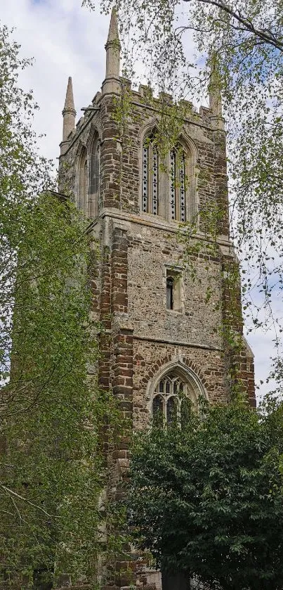 A historic church tower surrounded by lush green trees.