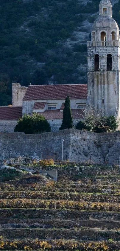 Historic church on hillside with lush background