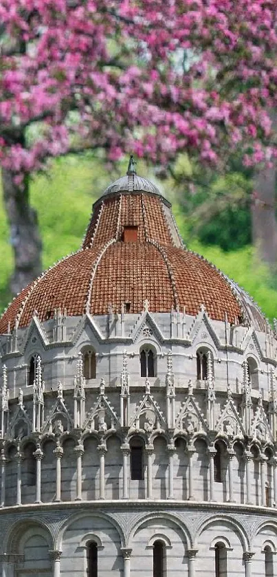 Intricate dome set against pink cherry blossoms and green foliage.