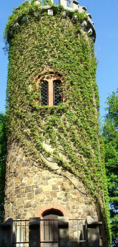 A historic stone tower covered in ivy with a blue sky backdrop.