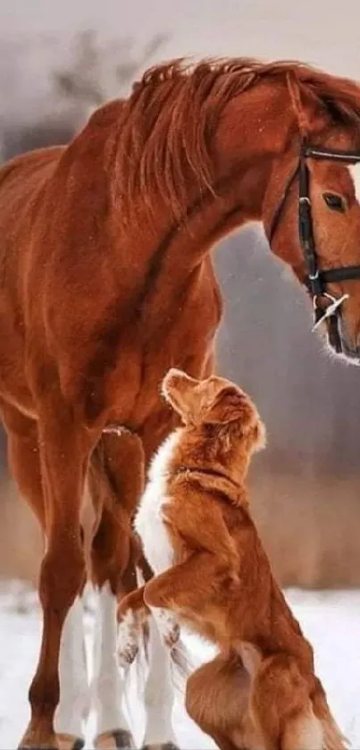 Horse and dog in a snowy landscape, showing warmth and companionship.