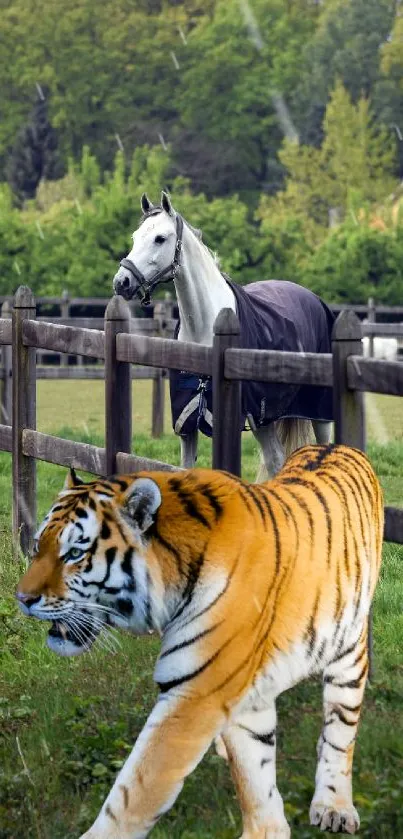 Tiger and horse in a lush pasture with green trees.