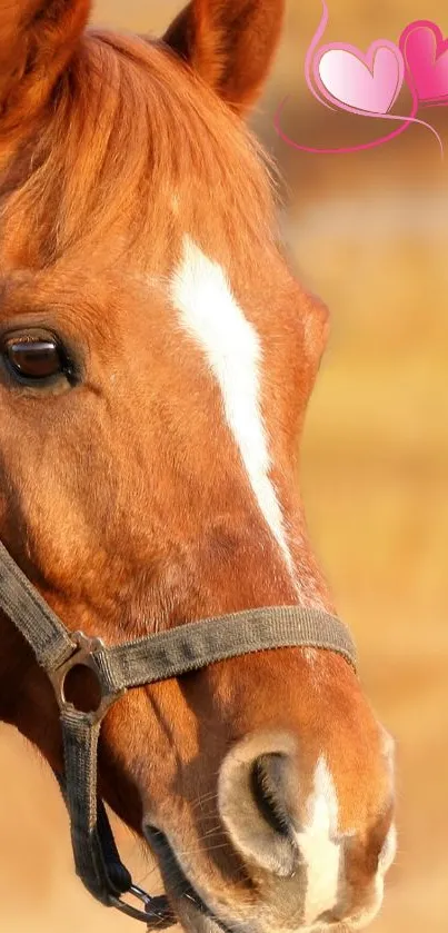 Horse Brown Vertebrate Live Wallpaper