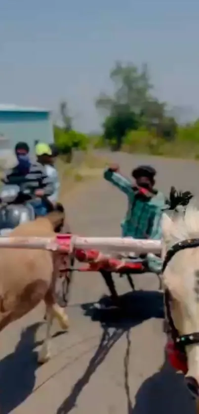 Horse carriage on rural road with scooter.