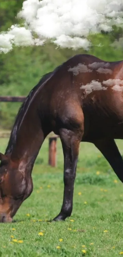 Grazing brown horse under white clouds in a green pasture.