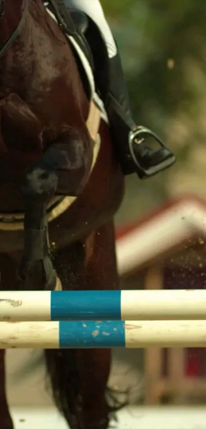 Horse jumping over a hurdle during an equestrian event.