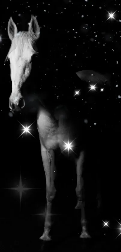 Horse Light Entertainment Live Wallpaper