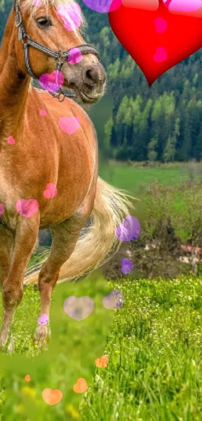 Horse Plant Flower Live Wallpaper