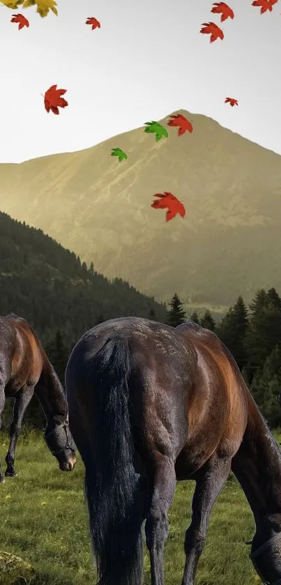 Horse Plant Sky Live Wallpaper