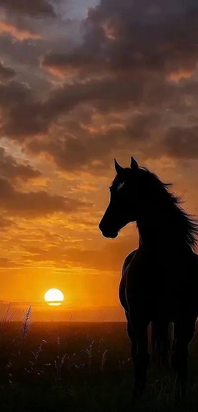 Silhouette of a horse against a vibrant sunset sky.