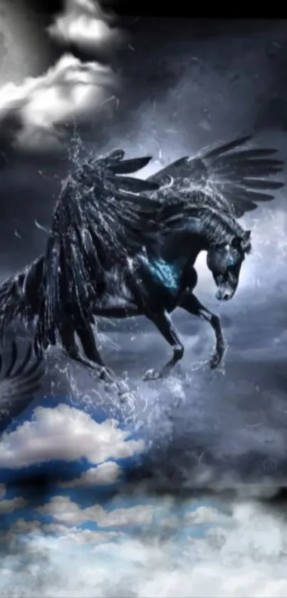 Horse Water Cloud Live Wallpaper