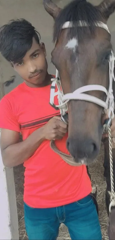 Horse Working Animal Horse Tack Live Wallpaper