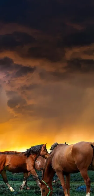 Horses grazing under a vivid sunset sky with storm clouds.