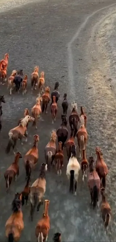 A herd of horses running freely on an open field.